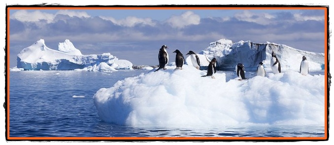 Antarctica continentul pacii si colaborarii internationale